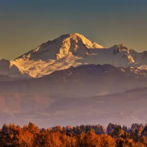 Why Families Are Moving to Chilliwack and Abbotsford: Space, Community, and Price Value